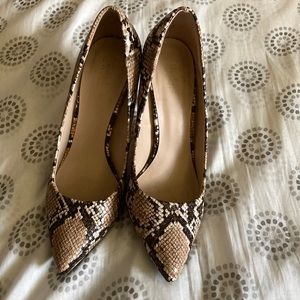 Snake print brown heels